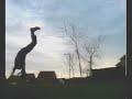 extreme martial arts wragg tricking may 08