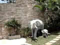 Ocean Eleven Luxury Vila in Samui Thailand