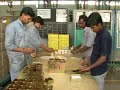 Production Capacity