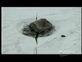 1of5    miracle planet   snow ball earth