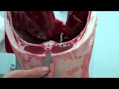 how to collect information