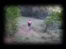 Mini-Downhill