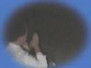 \"Soulless\" by Panoramic
