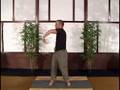 Scott Sonnon Intuflow Intermediate Part 2