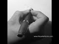 Fibonacci Numbers