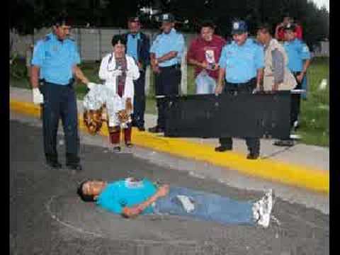 los ineditos de sinaloa - mafia es ...