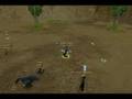3 pets Summon