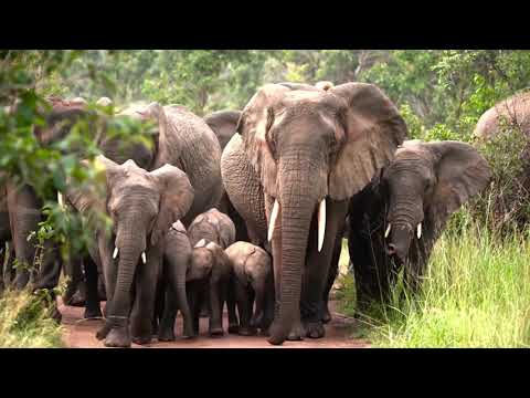 Remarkable Rwanda in a Minute using a Camera