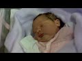 Click here to watch this video Maria Elissa Maia Fonseca