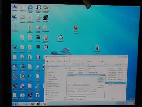 dinozambas - Dinozambas Theme http://www.mediafire.com/?sharekey=307a527e8bbe6c021bee9a6e9edd9c7663174df7c0585aa25be6ba49b5870170.