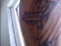 videos de Angel-tattoo--Kucova