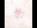 ボサノバカサノバ　花