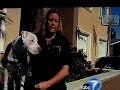 Walmart's Discrimination of Service Dogs Walmart's Discrimination of Service Dogs