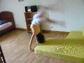 saut de mains