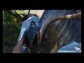Nido del Cuculo - IO DOPPIO - Avatar - Cavallo
