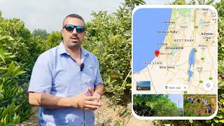 مدينة بيت لاهيا وبحرها شمال غزة، وجني ثمار التفاح في أرض أبو أشرف طنطيش Beit Lahia-Gaza-Palestine