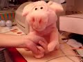 Cerdito cantador :D