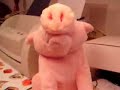 Cerdito cantador :D