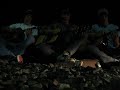 Park Avenue Live Acoustic