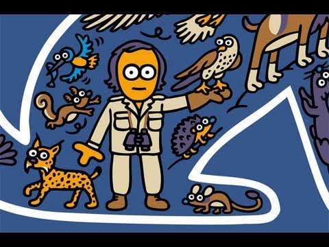 Imagen de previsualización de YouTube