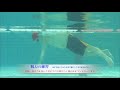 少し泳げる様になった 4 脱力のクロール ti swim