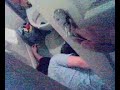 drunk man attacked by dog