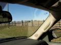 videos de A look at Black Horse pasture