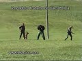Cães Policia - Por Celso Alves