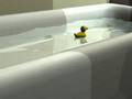 X Underwater X Bathroom Ducky Cam