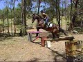 Me Riding Gilly & Flynn Also I Fall Off