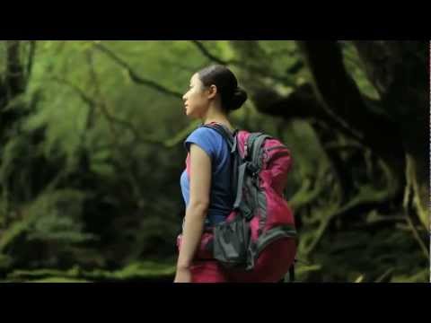 Canon EOS - Read my review here: http://photospirit.net/canon-eos-6d/ The EOS 6D DSLR camera is the latest full-frame DSLR camera from Canon. One of my personal faves. :...