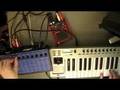 DSI Evolver solo