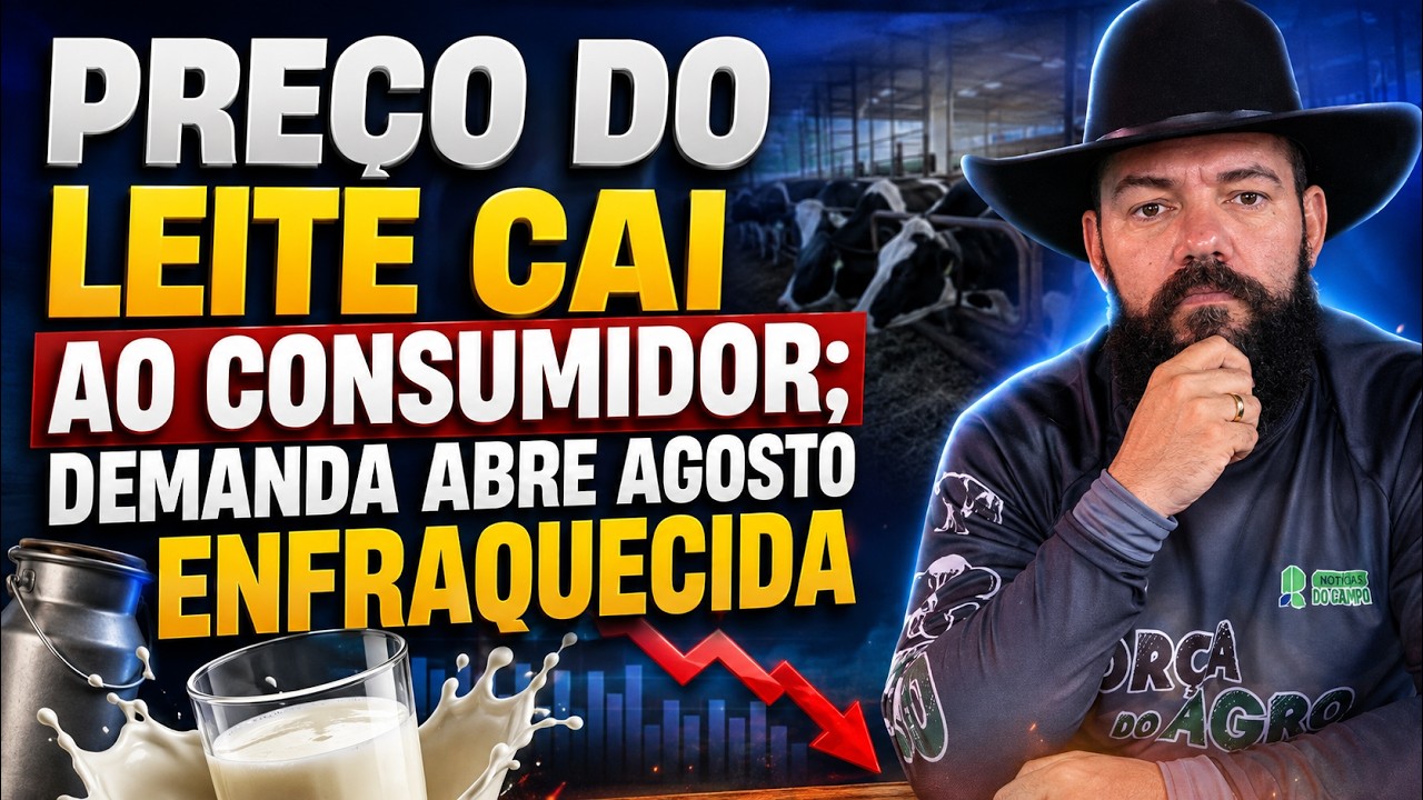 Preço do leite cai ao consumidor; demanda abre agosto enfraquecida.