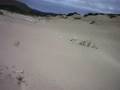 videos de wr250f.2008