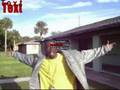 DJKANE CHOPPA BOI T.TV.