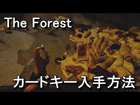 The Forest 考察