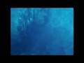 REEF PREDATION