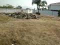 videos de Bugambilias Terreno en Venta  www. SoloCasas.com.mx + de 10,000 Inmuebles