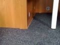 videos de Carpets for Carado T135 motorhome