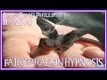 videos de Raiya Sinha hypnotized by Brian David Phillips