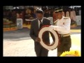 Sambutan Hari Pahlawan.flv