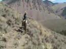 Happy Trails - Horseback Riding in Copper Basin, Idaho Happy Trails - Horseback Riding in Copper Basin, Idaho