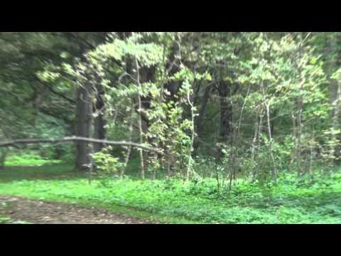 YouTube-forhåndsvisningsbillede