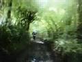 videos de green laning with the TRF
