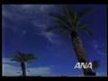 全日空(ANA)1985年度のCM