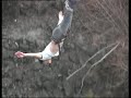 tu bungy
