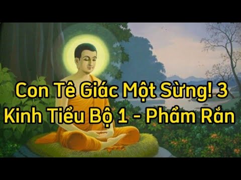 Kinh NIKAYA Giảng Giải - Sống Một Mình Như Tê Giác Một Sừng ! 3