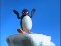 Pingu Makes a Splash