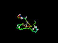 protein folding
