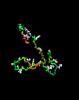 protein folding